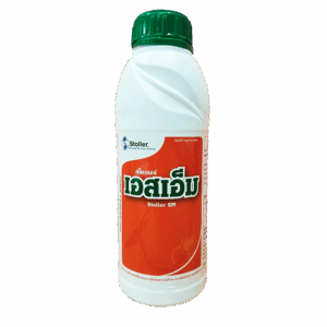พืชแข็งแรง เพิ่มน้ำตาล ความหวาน และสีสันให้เมล็ดและผล