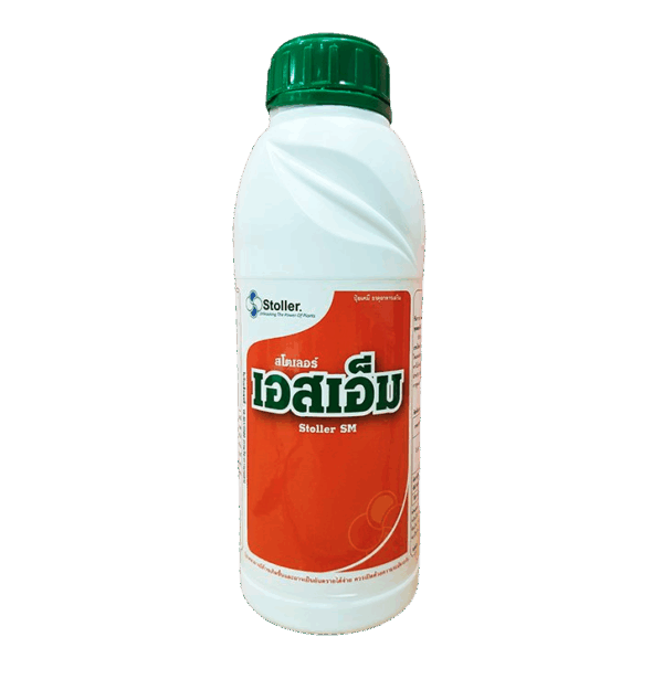 พืชแข็งแรง เพิ่มน้ำตาล ความหวาน และสีสันให้เมล็ดและผล