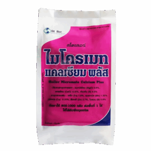 แตกรากดี รากยาว กอใหญ่ ใบเขียวนาน ต้นแข็งแรง ไม่ล้ม