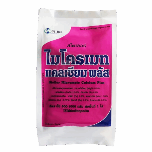 แตกรากดี รากยาว กอใหญ่ ใบเขียวนาน ต้นแข็งแรง ไม่ล้ม