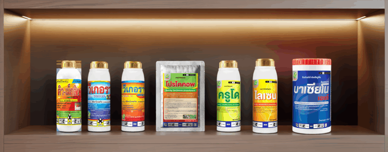 all-products-are-arranged-on-a-wooden-sh_Ut2Lwad5Qqu0lRu3Ni1omg_N5LufKKFQ7i2IT7ftZP5wQ