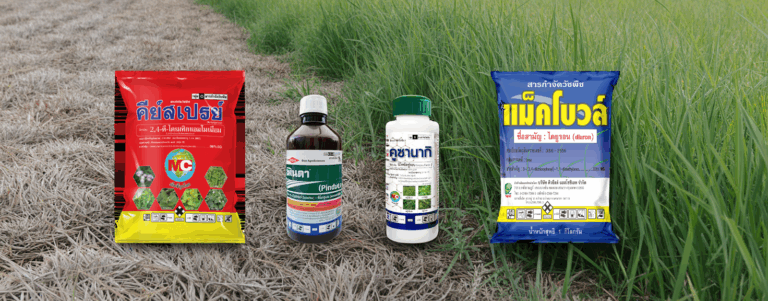 surrounding-the-products-is-a-patch-of-d_1YRJXlNBTpSB0DC0V82viw_P87Nd3R-SUeG6IksDtC9Kw