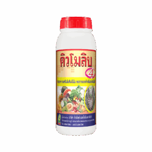 ผลไม้มีเนื้อแน่น เพิ่มความหวานและสีของผลสวย