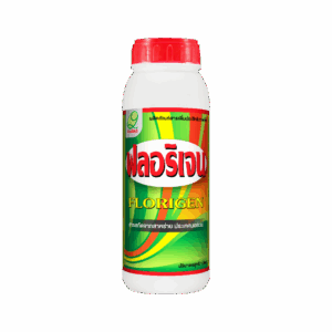ส่งเสริมการแตกตา แตกราก ติดดอก ออกผล