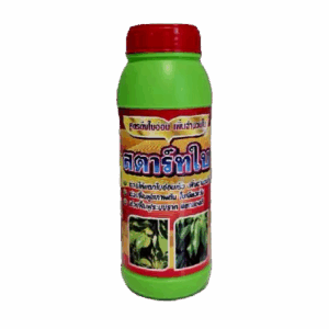 สตาร์ทใบ