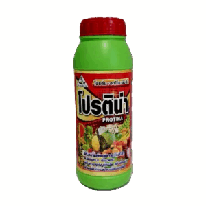 โปรติน่า
